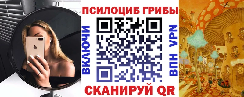 купить наркоту  Нижневартовск  Псилоцибиновые грибы MAGIC MUSHROOMS 