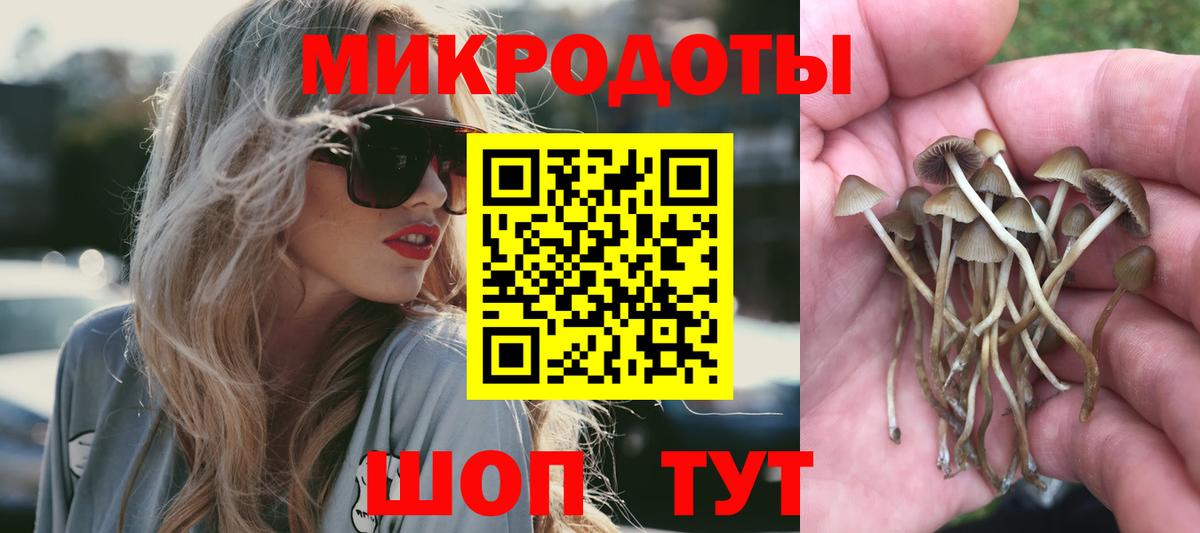 Нижневартовск  купить наркотики сайты  Вход с VPN  Псилоцибиновые грибы мицелий 